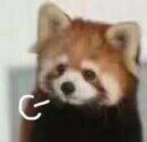 字节跳动28岁员工确认离世,互联网企业反内卷的正确姿势是什么?休闲区蓝鸢梦想 - Www.slyday.coM 字节跳动28岁员工确认离世,互联网企业反内卷的正确姿势是什么?休闲区蓝鸢梦想 - Www.slyday.coM