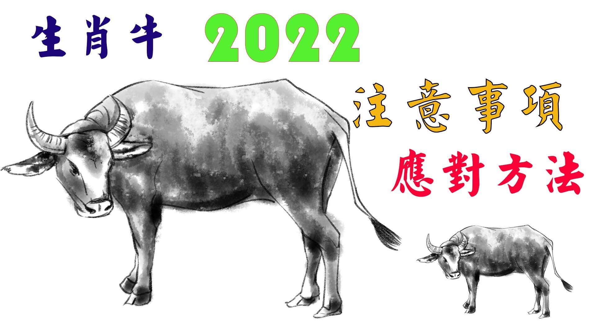 (2022)生肖灵码表,2020年生肖灵码表 粉丝问2022年生肖牛要注意哪些方面视频给你分析