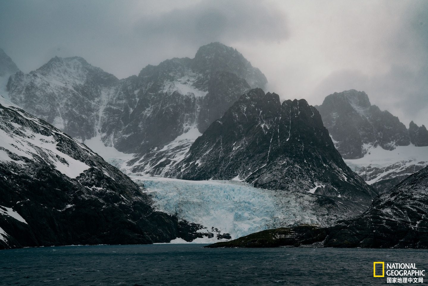 南乔治亚岛有着什么样的血腥产业？...