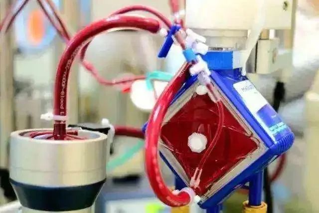 网传字节跳动28岁员工加班猝死,刚刚公司内网发布声明!猝死前有哪些信号?医生这样说休闲区蓝鸢梦想 - Www.slyday.coM 网传字节跳动28岁员工加班猝死,刚刚公司内网发布声明!猝死前有哪些信号?医生这样说休闲区蓝鸢梦想 - Www.slyday.coM