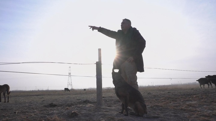 “没有第二个地方有这个机会做我的事业”——来新疆创业,这位比利时人说“来对了”休闲区蓝鸢梦想 - Www.slyday.coM “没有第二个地方有这个机会做我的事业”——来新疆创业,这位比利时人说“来对了”休闲区蓝鸢梦想 - Www.slyday.coM