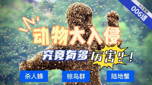 动物的数量有时会多到不可思议 杀人蜂、椋鸟群、陆地蟹……