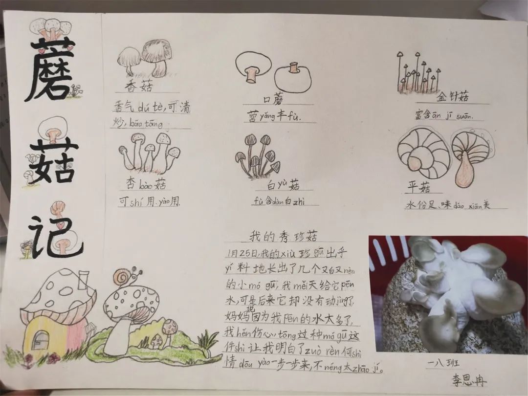 校园新闻新城小学南校区手绘家族画谱布置安心小屋