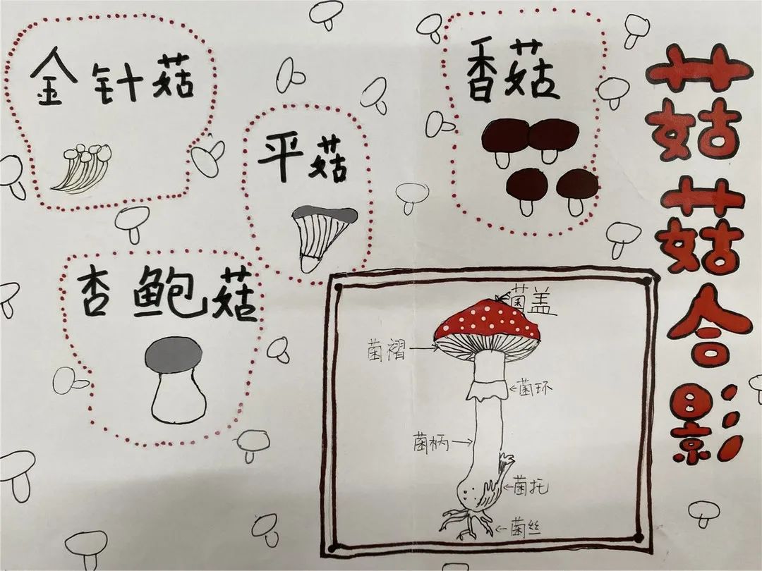 校园新闻新城小学南校区手绘家族画谱布置安心小屋