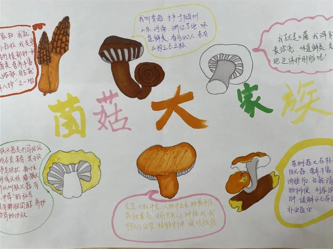 校园新闻新城小学南校区手绘家族画谱布置安心小屋