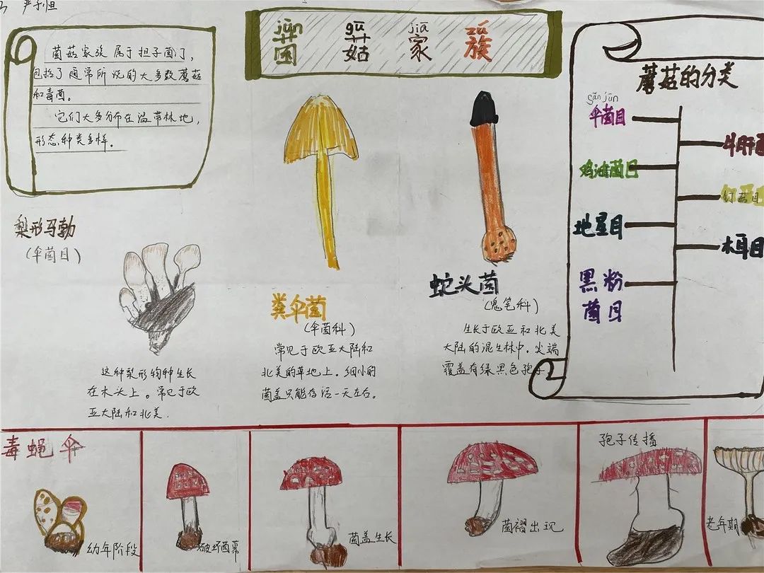校园新闻新城小学南校区手绘家族画谱布置安心小屋