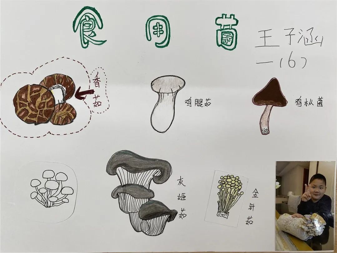 校园新闻新城小学南校区手绘家族画谱布置安心小屋