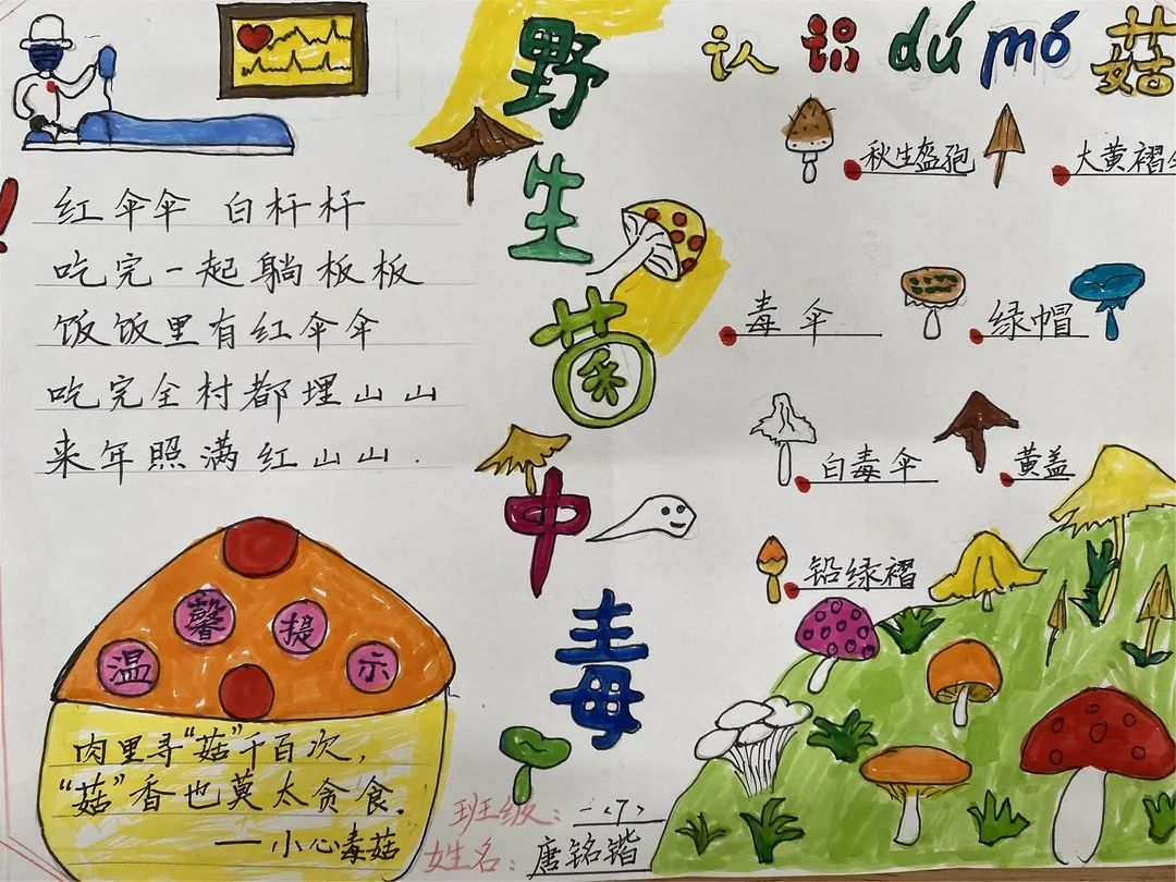校园新闻新城小学南校区手绘家族画谱布置安心小屋