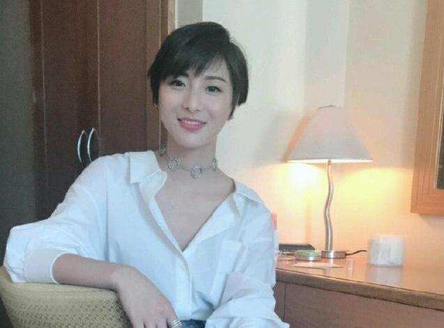 5,陈慧仪导演陈嘉上执导过《画壁》,《武状元苏乞