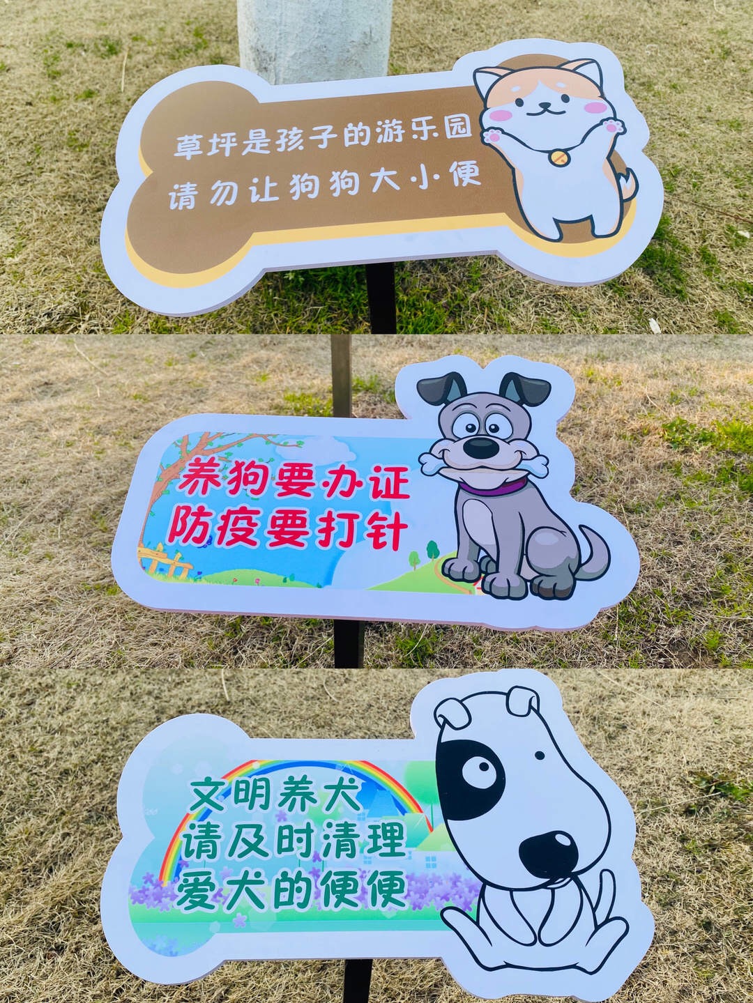 明光街道南大寺社区开展“文明养犬 从我做起”宣传活动_明光市人民政府