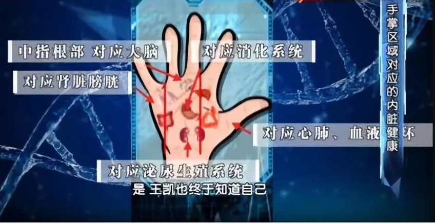 血管好不好 看手就知道!这5个地方长青筋太危险 可能突发心脑血管疾病!休闲区蓝鸢梦想 - Www.slyday.coM 血管好不好 看手就知道!这5个地方长青筋太危险 可能突发心脑血管疾病!休闲区蓝鸢梦想 - Www.slyday.coM