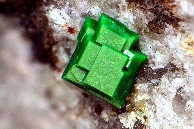 30张罕见的照片,<a href=