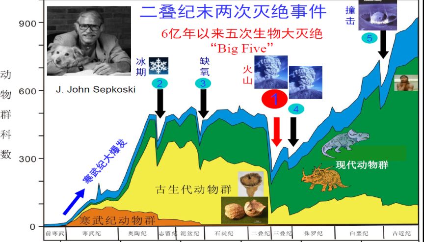 具有全球影响的生物大灭绝有5次,即发生在奥陶纪末,晚泥盆世中期