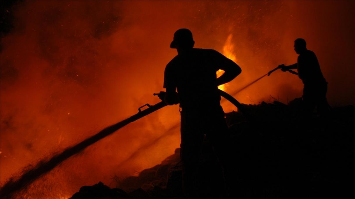 烧掉2.4亿美元！阿根廷罕见大火肆虐，网友：澳洲山火后遗症？