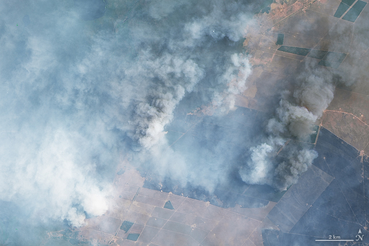 烧掉2.4亿美元！阿根廷罕见大火肆虐，网友：澳洲山火后遗症？
