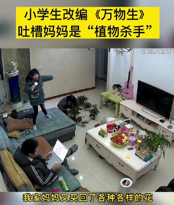 小学生改编《万物生》，吐槽妈妈是“植物杀手”，爸爸拍手称赞