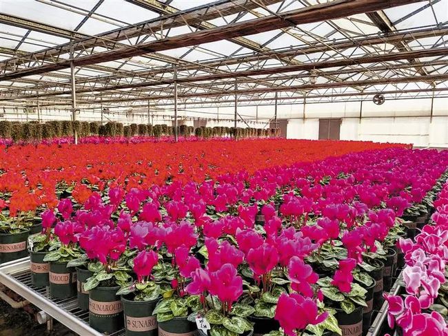 俄乌谈判最新进展!“来津报备”调整!香港单日新增超2万!休闲区蓝鸢梦想 - Www.slyday.coM 俄乌谈判最新进展!“来津报备”调整!香港单日新增超2万!休闲区蓝鸢梦想 - Www.slyday.coM