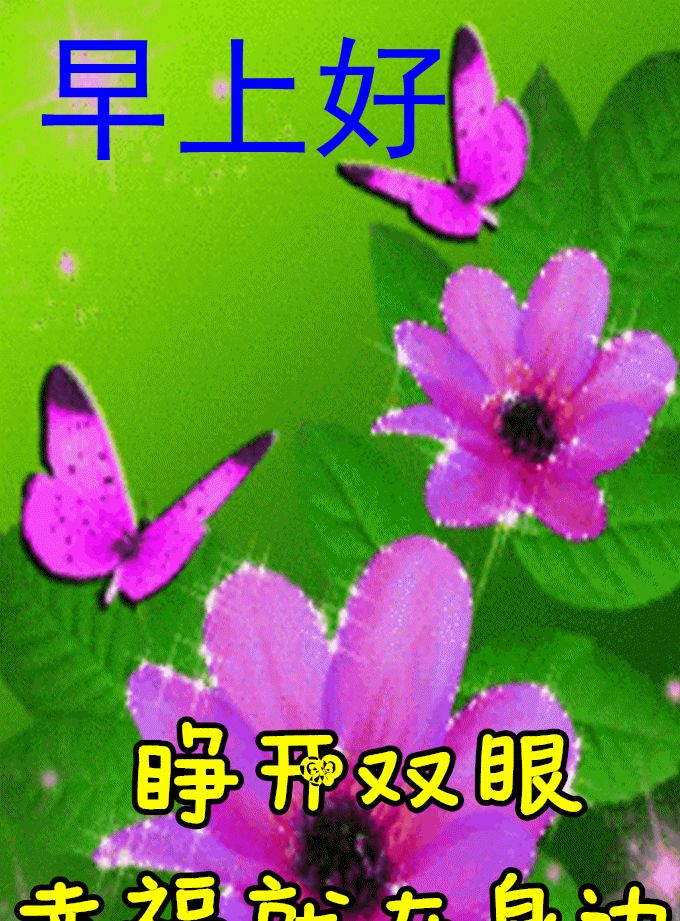 春日清晨漂亮早晨好问候动态表情图片春天早上好说说温馨图片