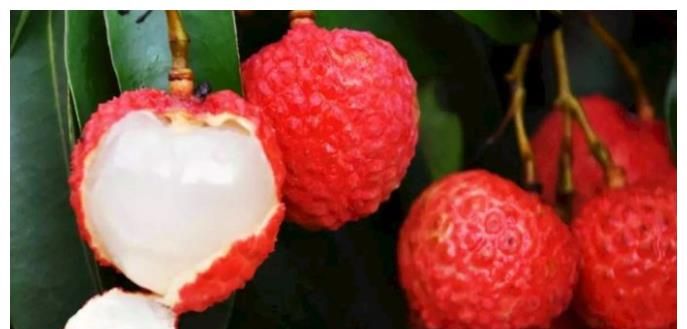 一种蓝色的果子 bf2c-b24f5f066fe423eb9dba8d3fbc69c1ce.jpg