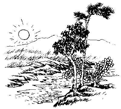 青未了最难忘家乡的溪流