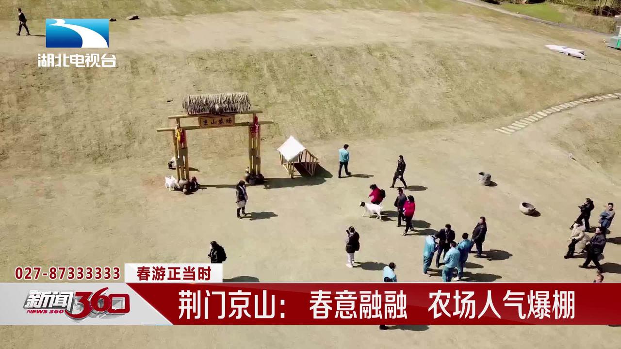 荆门京山春意融融农场人气爆棚