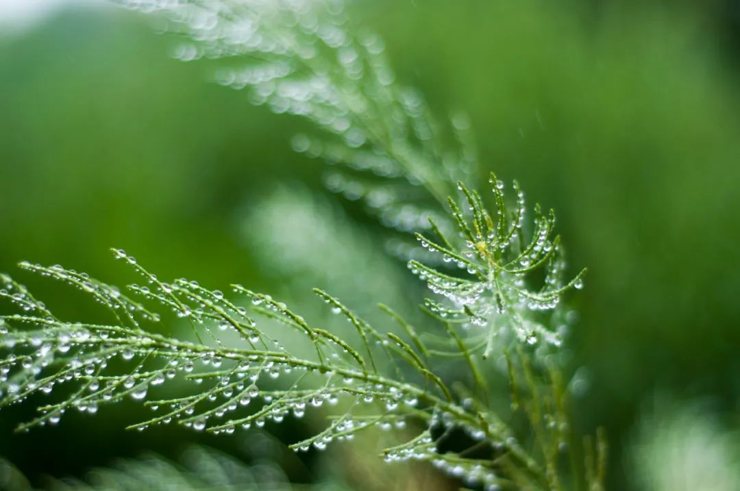 二月二龙抬头,鸿运当头休闲区蓝鸢梦想 - Www.slyday.coM 二月二龙抬头,鸿运当头休闲区蓝鸢梦想 - Www.slyday.coM