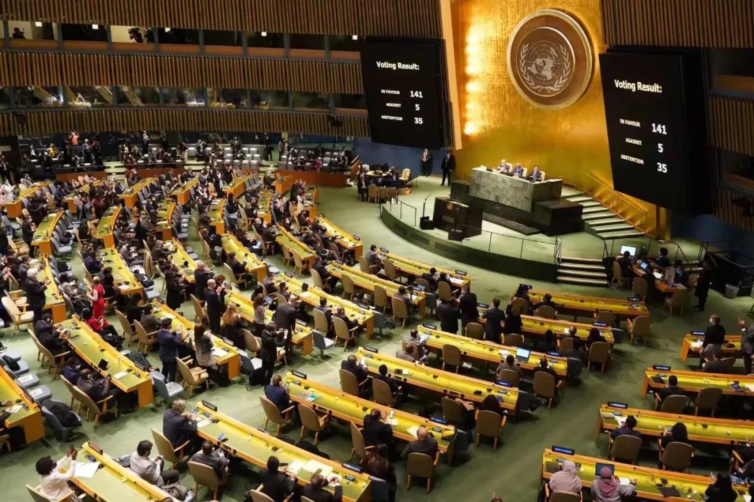 联大紧急会议通过乌克兰局势决议草案,中方阐述立场休闲区蓝鸢梦想 - Www.slyday.coM 联大紧急会议通过乌克兰局势决议草案,中方阐述立场休闲区蓝鸢梦想 - Www.slyday.coM