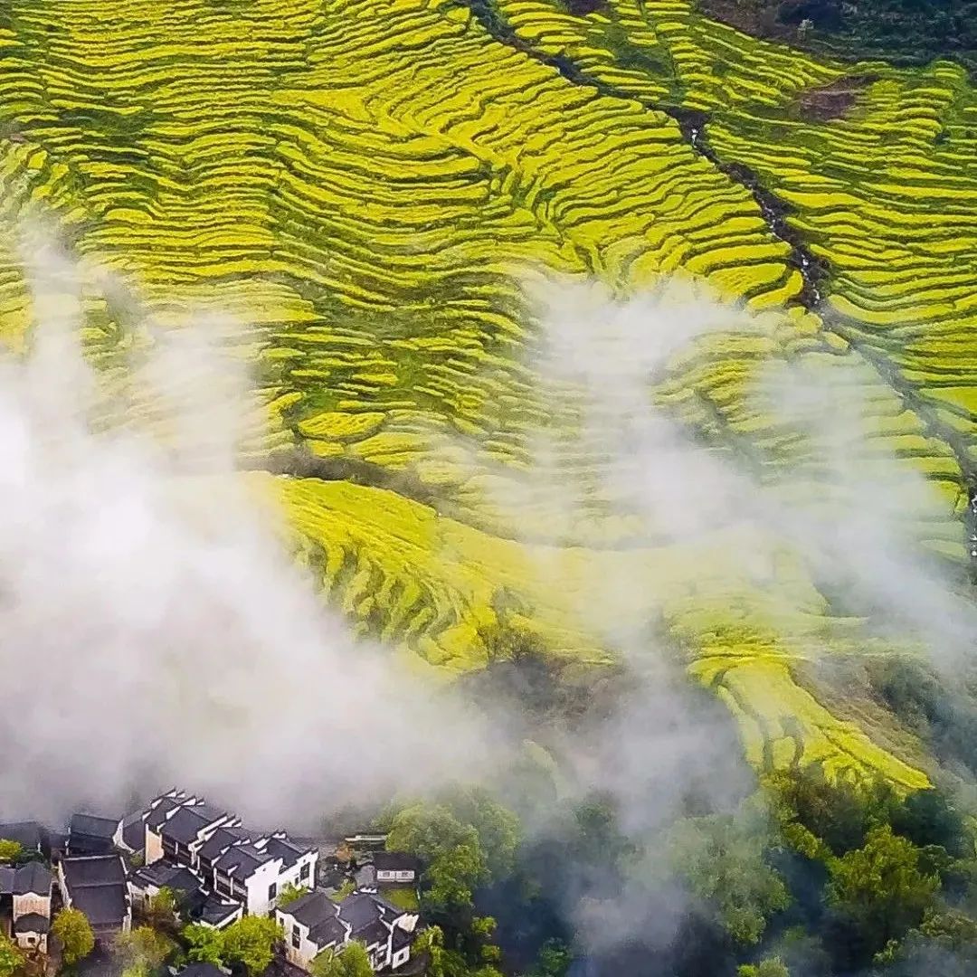 阳春小红书上都是高级外围吗——广东阳春市全面解析