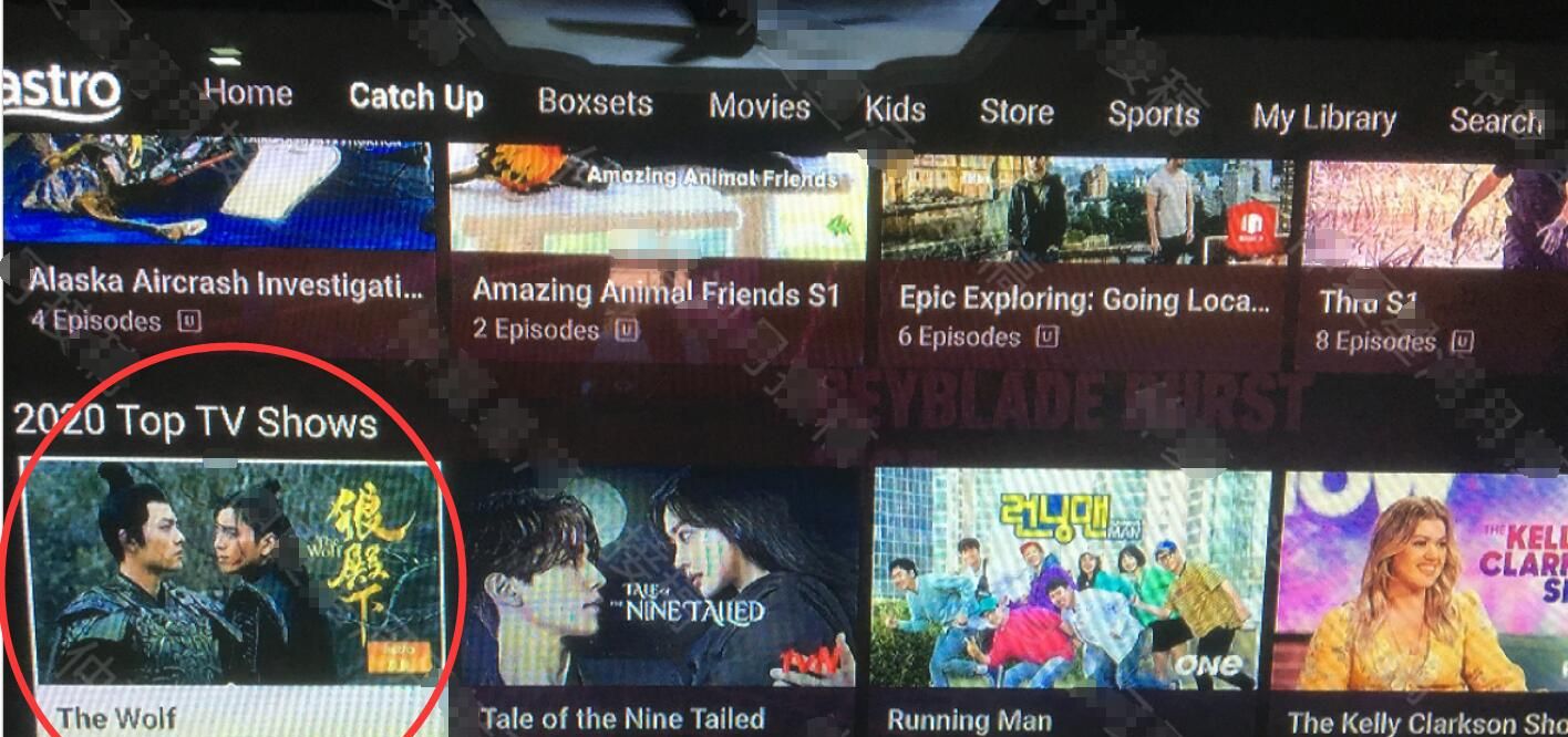 《狼殿下》<a href=