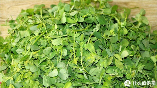 春天5种常见野菜,比青菜还好吃,常吃解油腻又养人,看见别错过休闲区蓝鸢梦想 - Www.slyday.coM 春天5种常见野菜,比青菜还好吃,常吃解油腻又养人,看见别错过休闲区蓝鸢梦想 - Www.slyday.coM