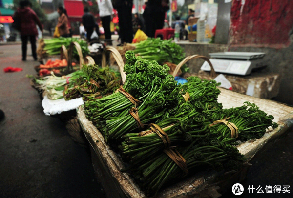 春天5种常见野菜,比青菜还好吃,常吃解油腻又养人,看见别错过休闲区蓝鸢梦想 - Www.slyday.coM 春天5种常见野菜,比青菜还好吃,常吃解油腻又养人,看见别错过休闲区蓝鸢梦想 - Www.slyday.coM