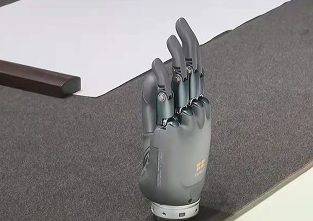 杭州余杭智能仿生手 举起北京2022年冬残奥会火炬休闲区蓝鸢梦想 - Www.slyday.coM 杭州余杭智能仿生手 举起北京2022年冬残奥会火炬休闲区蓝鸢梦想 - Www.slyday.coM