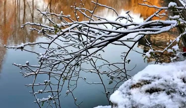 小吉说天气丨二月二龙抬头,你今天的发型师也许是……休闲区蓝鸢梦想 - Www.slyday.coM 小吉说天气丨二月二龙抬头,你今天的发型师也许是……休闲区蓝鸢梦想 - Www.slyday.coM