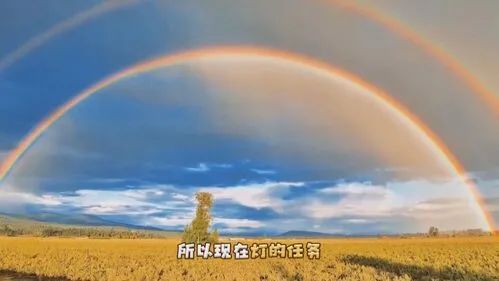 亮相北京冬奥的小台灯,中山造休闲区蓝鸢梦想 - Www.slyday.coM 亮相北京冬奥的小台灯,中山造休闲区蓝鸢梦想 - Www.slyday.coM