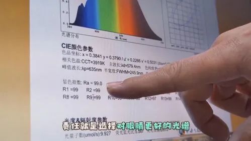 亮相北京冬奥的小台灯,中山造休闲区蓝鸢梦想 - Www.slyday.coM 亮相北京冬奥的小台灯,中山造休闲区蓝鸢梦想 - Www.slyday.coM