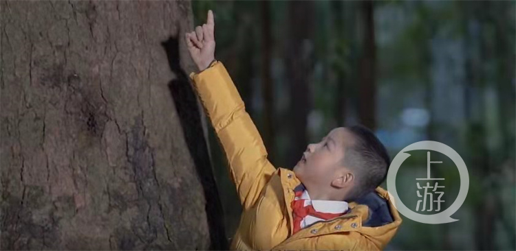 为树“发声” 听孩子们为你讲一棵树的故事休闲区蓝鸢梦想 - Www.slyday.coM 为树“发声” 听孩子们为你讲一棵树的故事休闲区蓝鸢梦想 - Www.slyday.coM