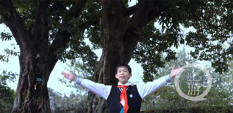 为树“发声” 听孩子们为你讲一棵树的故事休闲区蓝鸢梦想 - Www.slyday.coM 为树“发声” 听孩子们为你讲一棵树的故事休闲区蓝鸢梦想 - Www.slyday.coM