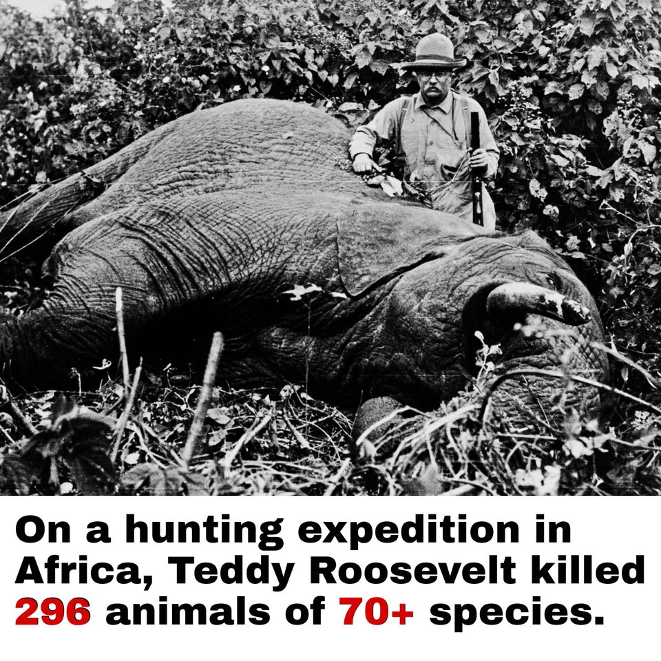 30张活久未见的照片，图3是<a href=