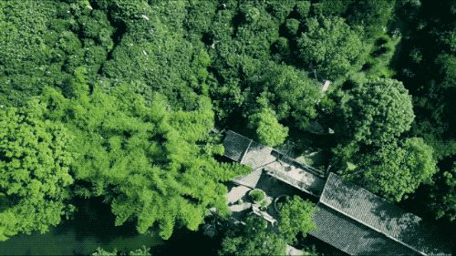 世界上最“奢侈”房子 30亩森林400㎡中式宅院