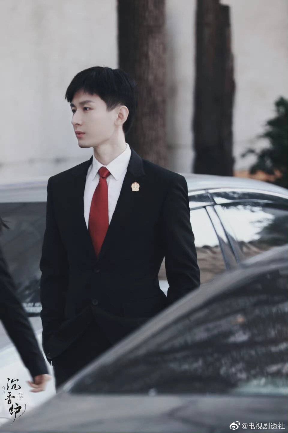 《与君歌》首播，成毅演技观众如何评？