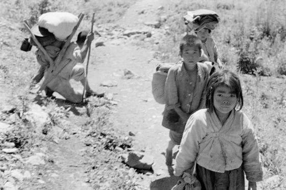 老照片 1951年朝鲜战争中的<a href=