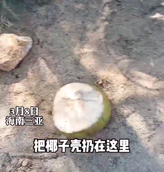 消之宝 消之宝