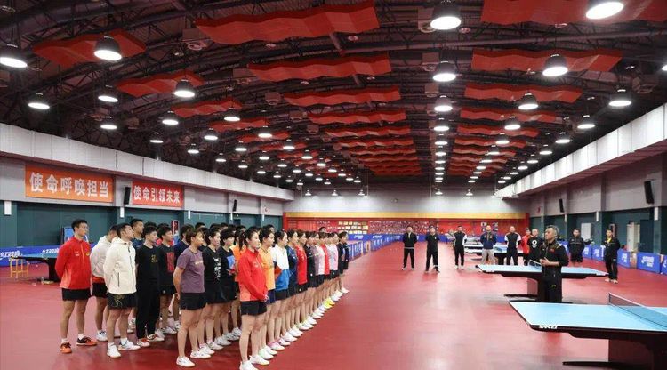 孙颖莎、王楚钦<a href=