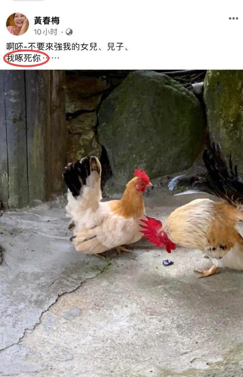 大S嫁给具俊晔众叛亲离？妈妈炮轰<a href=