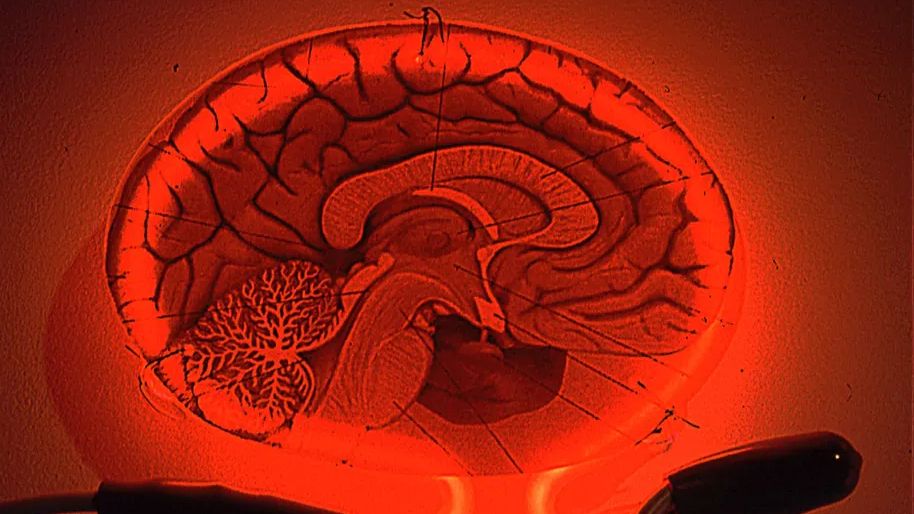 人口太多_人口增多or人口过多:魏晋时期,如何用早婚将人变成“生育机器”