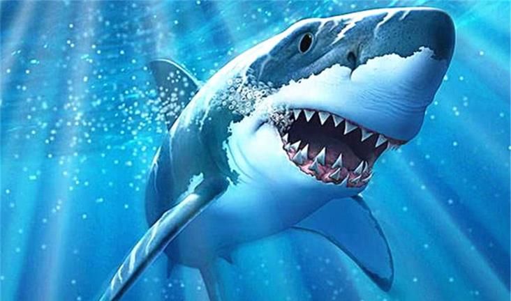 奥斯卡动漫电影排行榜_电影史十大里程碑式之作,一位电影导演2个著作排名榜!