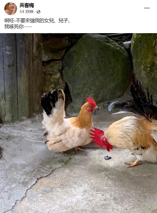 大S和具俊晔各让一步？姑姑代亲友欢迎新女婿，婚后不去<a href=