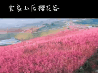 消之寶 消之寶