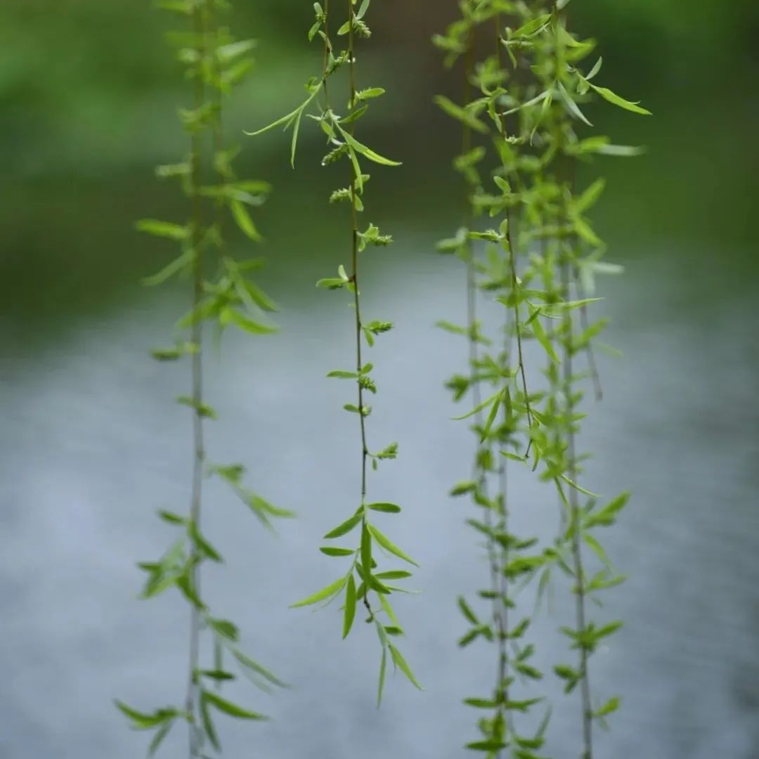 德达医院住院床位费是多少？不同房型有哪些区别？