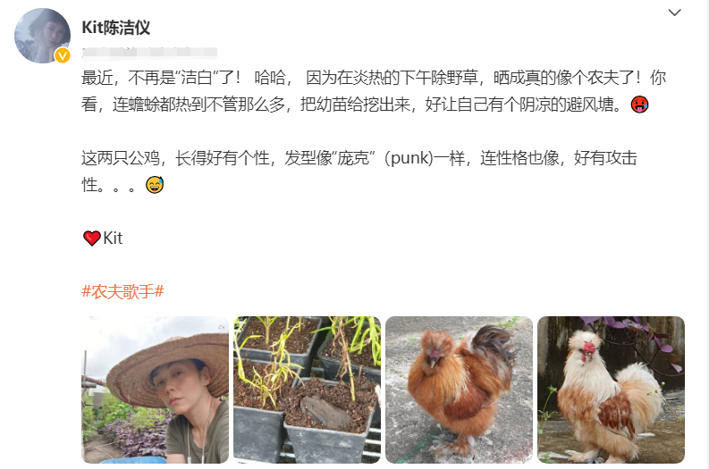 国民级歌手陈洁仪农田干活！戴草帽追着鸡跑，皮肤黝黑脸颊晒通红